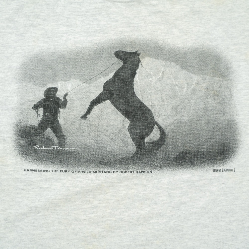Vintage 2000 Arizona Highways‎ Sweatshirt Wild Mustang Robert Dawson Art Shirt M - Picture 4 of 9